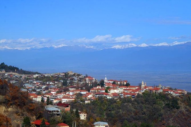 Day Trip in Kakheti-Wine Tour - What To Expect