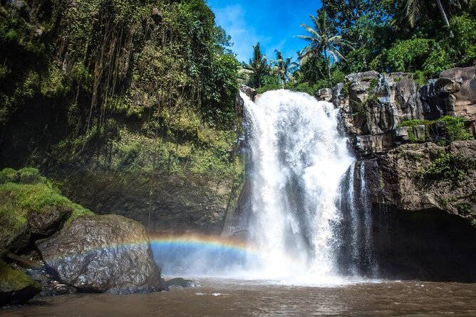 Day Trip Kintamani Volcano Downhill Cycling Tegenungan Waterfall - Cycling Adventure Overview
