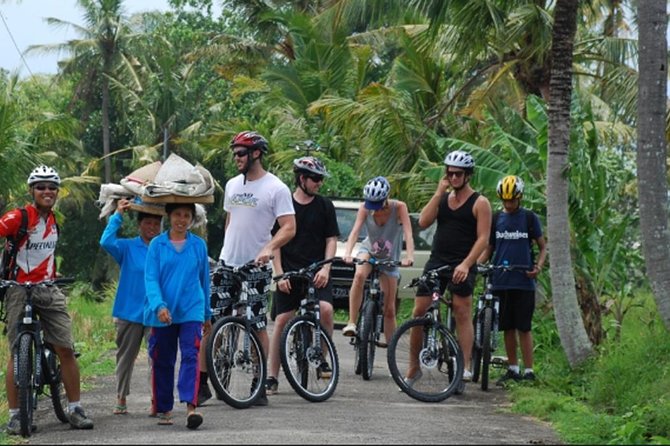 Day Trip Kintamani Volcano Downhill Cycling Tegenungan Waterfall - Tour Highlights and Inclusions