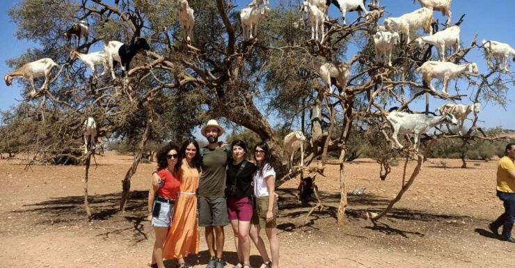 Day Trip Marrakech to Essaouira - Full Itinerary Details