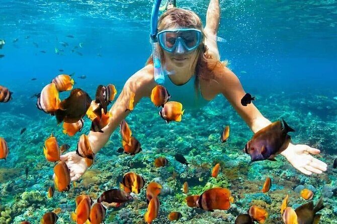 Day Trip: Nusa Penida Snorkling - The Experience: What It Feels Like