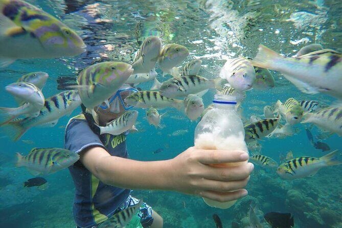 Day Trip: Nusa Penida Snorkling - Practical Details and What They Mean for You