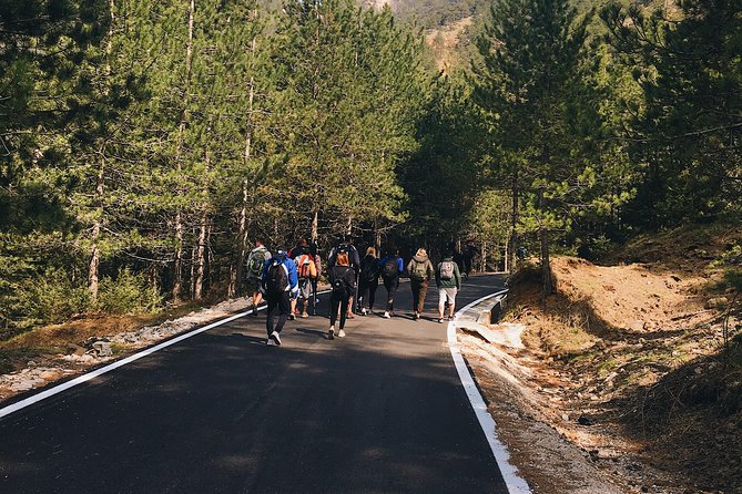 Day Trip of Kruja and National Park of Qafeshtama - Itinerary Highlights