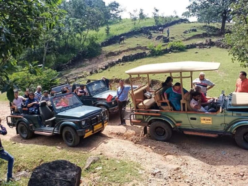 Day Trip Of Kumbhalgarh Fort & Wildlife Safari From Udaipur - The Wildlife Safari Experience