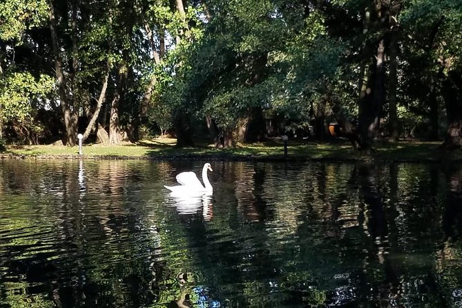 Day Trip of Pogradec and Korca - Return to Meeting Point