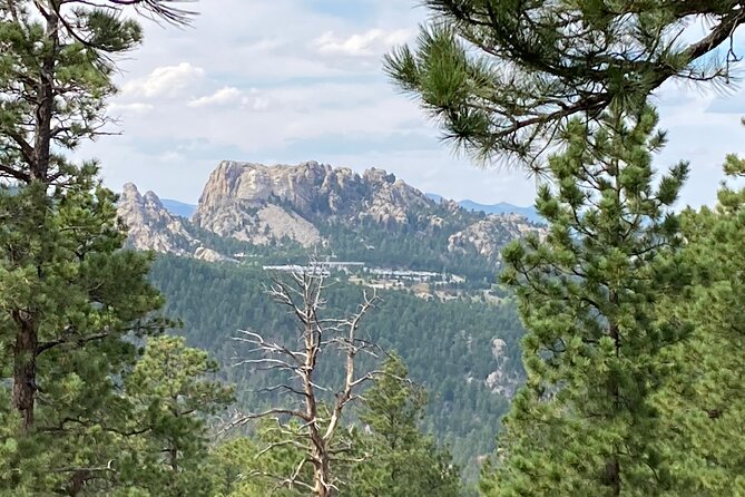 Day Trip of the Black Hills: Mount Rushmore to Custer State Park! - Needles Eye Tunnel: A Unique Architectural Wonder