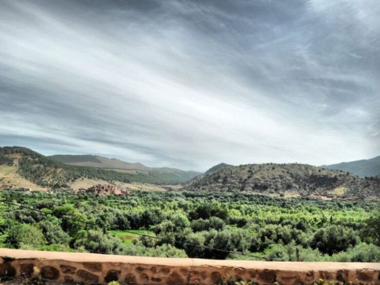 Day Trip Ourika Valley & Atlas Mountains With Camel (Option) - Highlights of the Trip