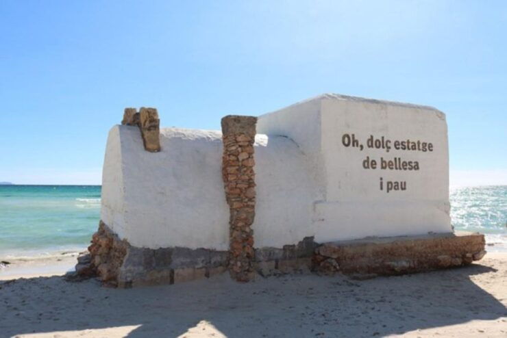 Day Trip Palma Bay Es Trenc - Booking Information