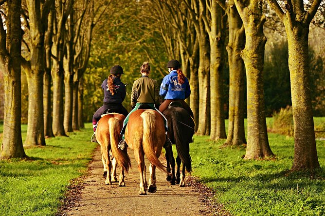 Day Trip: Pasta Cooking Class With Lunch + Horseback Ride - Inclusions and Experiences