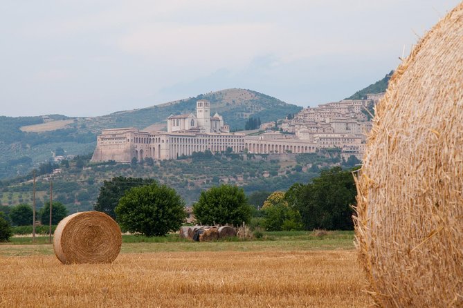 Day Trip: Pasta Cooking Class With Lunch + Horseback Ride - Miscellaneous Information