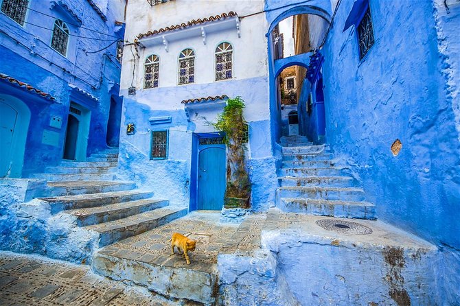 Day Trip Private to Chefchaouen From Fes - Additional Information