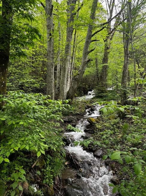 Day Trip: Rila Monastery & Ivan Rilski Cave Small Group - FAQ