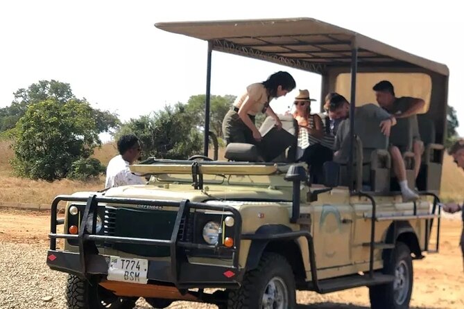 Day Trip Safari to Mikumi National Park - Safari Experience