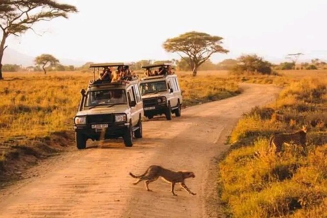 Day Trip Safari to Mikumi National Park - Wildlife Encounters