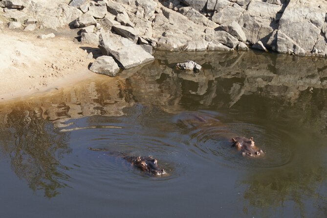 Day Trip Selous Safari Tour From Zanzibar - Inclusions and Exclusions