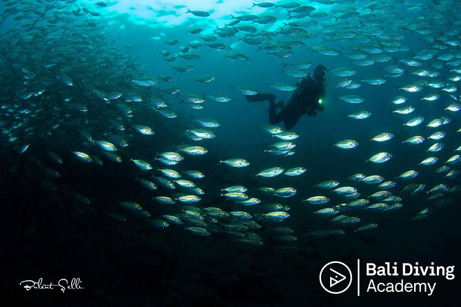 Day Trip Snorkeling in Tulamben - Explore Liberty Wreck (pick up in South Bali) - Snorkeling Gear Provided