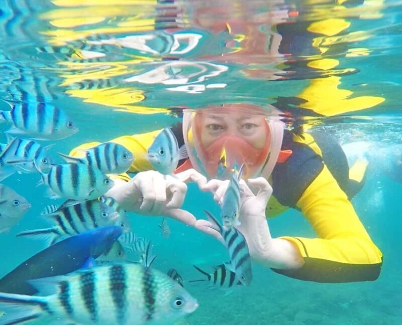 Day trip snorkeling Koh Tao & Koh Nang Yuan - Practical Tips for Travelers