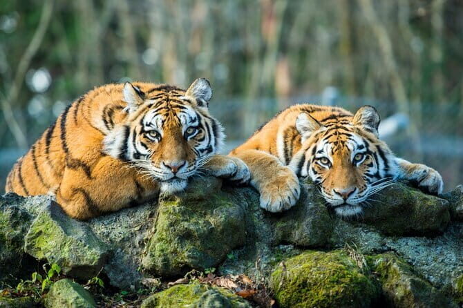 Day Trip Taj Mahal, Agra Fort & Baby Taj Tour from Delhi by Car - FAQ