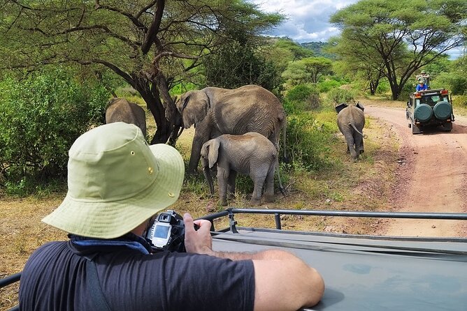 Day Trip Tarangire National Park - Operator Information