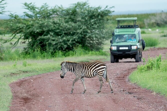 Day Trip Tarangire National Park - Frequently Asked Questions