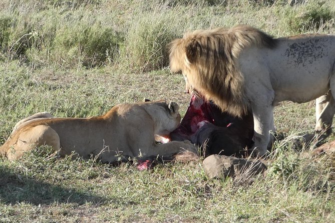 Day Trip Tarangire National Park - Itinerary for the Day Trip