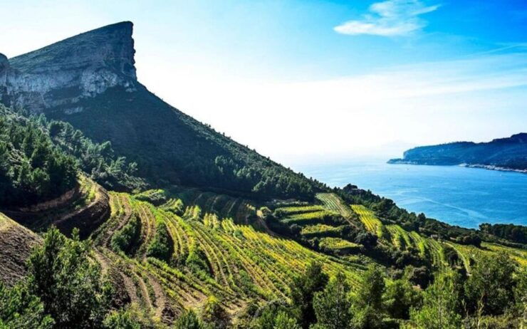Day Trip, the Best of PROVENCE: Aix-En-PROVENCE & Cassis - Highlights of the Tour