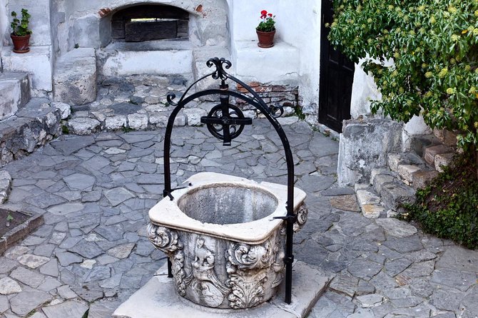 Day Trip Through Brasov in Transylvania and Bran, Peles, and Rasnov Castles - Tour Highlights