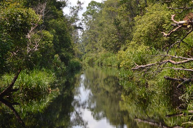 Day Trip Through the Wilderness Borneo & Say Hello Orang Utan - Planning Your Borneo Adventure