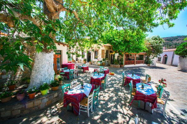 Day Trip to Agios Nikolaos Spinalonga Olive Oil Factory - Booking and Pricing Information