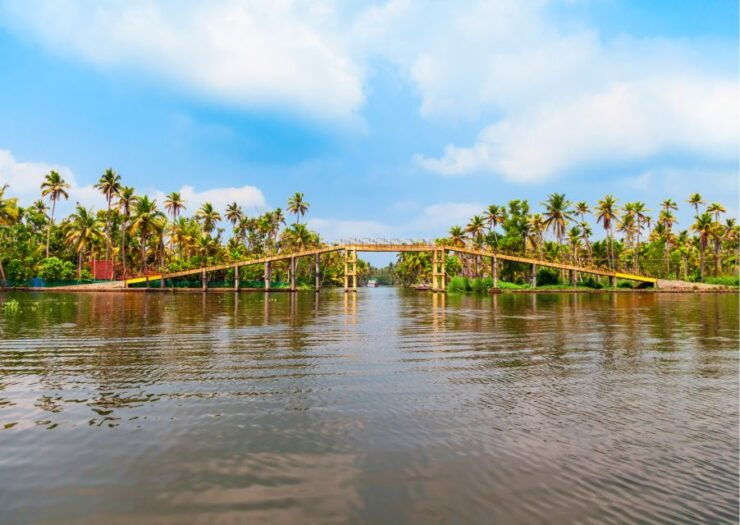 Day Trip to Alleppey With Backwater Experiences - Itinerary