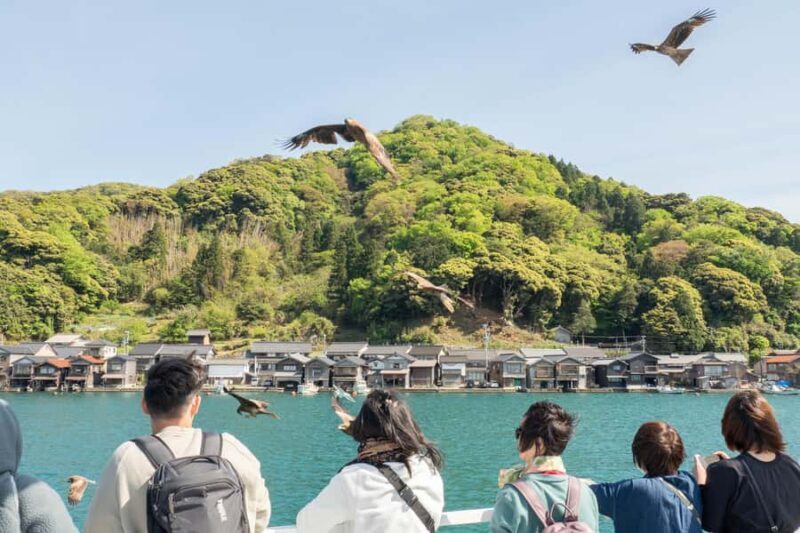 Day Trip to Amanohashidate & Ine from Osaka/Kyoto - Who is This Tour Best For?