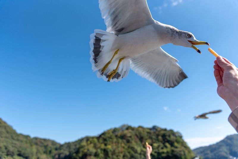 Day Trip to Amanohashidate & Ine no Funaya & Miyama Thatched Village in the Sea of Kyoto (Departure from Osaka or Kyoto) - A short boat ride beside the sandbar