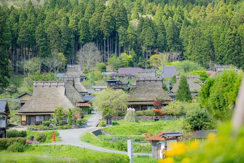 Day Trip to Amanohashidate & Ine no Funaya & Miyama Thatched Village in the Sea of Kyoto (Departure from Osaka or Kyoto) - What the bus day feels like