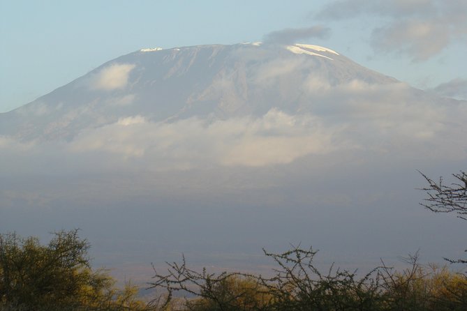 Day Trip to Amboseli National Park - Good To Know