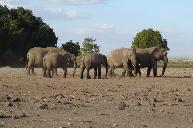 Day Trip to Amboseli National Park - Pickup Details