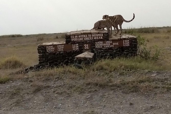 Day Trip to Amboseli National Park - Recommended Gear