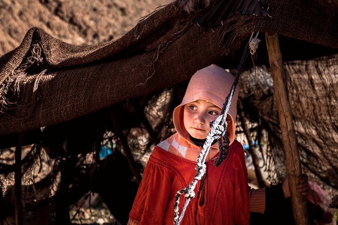 Day Trip to Atlas Mountains & 3 Valleys From Marrakech With Lunch and Camel Ride - The Sum Up