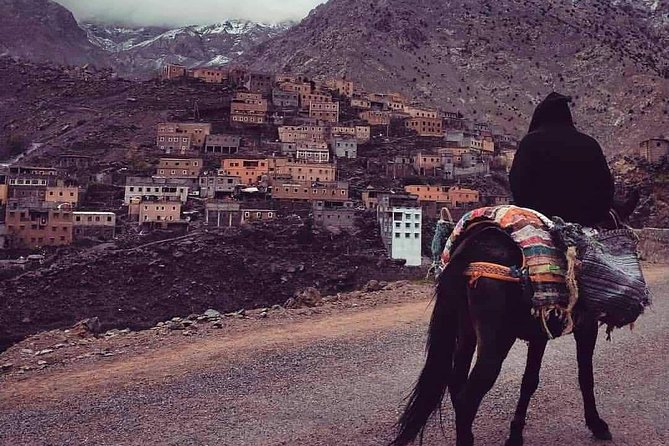 Day Trip to Atlas Mountains and 3 Valley & Berber Villages With Camel Ride - Traveler Photos and Reviews