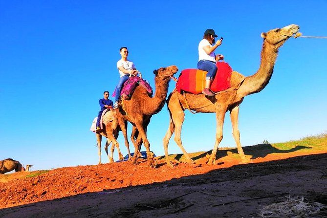 Day Trip to Atlas Mountains and 4 Valley With Camel Ride From Marrakech - Cancellation Policy