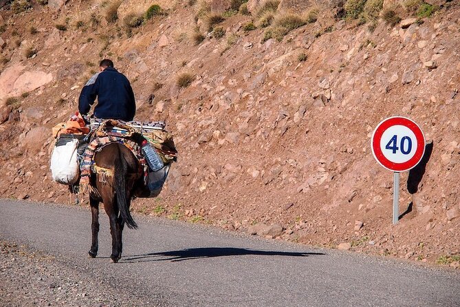 Day Trip to Atlas Mountains Ourika Waterfall & Berber Villages & With Camel Rid - Practical Information