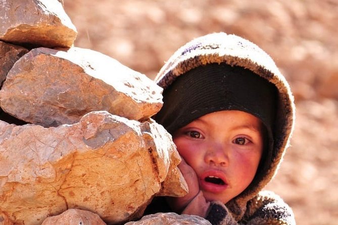 Day Trip to Atlas Mountains & Three Valleys From Marrakech + Lunch & Camel Ride - Pricing and Booking