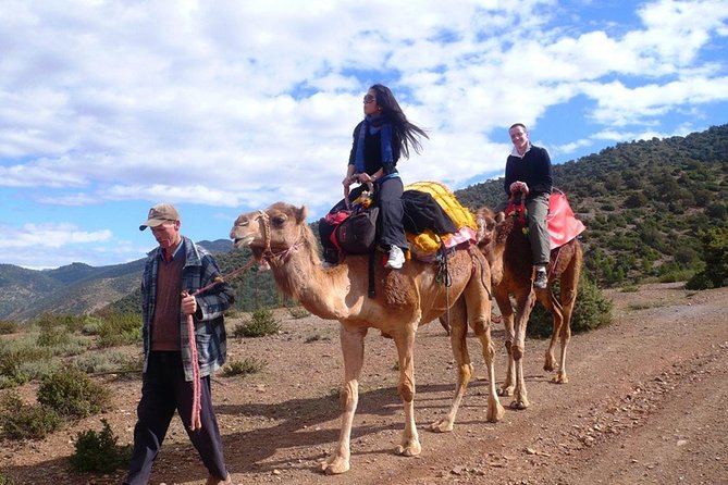 Day Trip to Atlas Mountains & Three Valleys From Marrakech + Lunch & Camel Ride - Hiking Excursion to Waterfalls