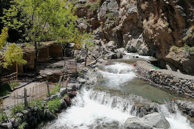 Day Trip to Atlas Mountains Waterfall & Agafay Camel Ride Experience - Traveler Photos and Reviews