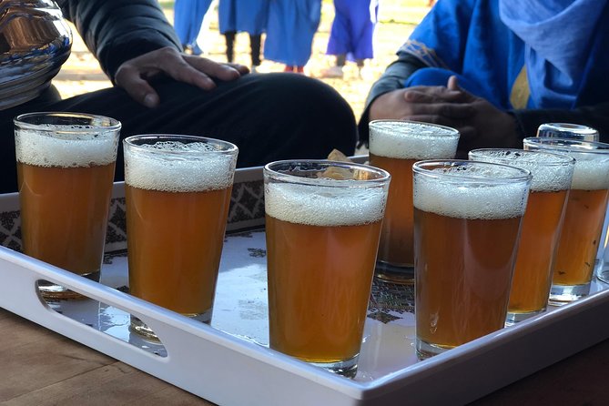 Day Trip to Atlas Mountains Waterfall & Agafay Camel Ride Experience - Questions and Help