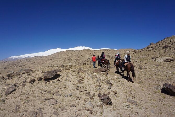 Day Trip to Baisha Lake and Karakul Lake with Private Car - FAQ