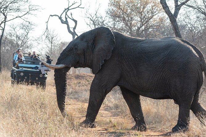 Day Trip to Bandipur National Park & Tiger Reserve - Frequently Asked Questions