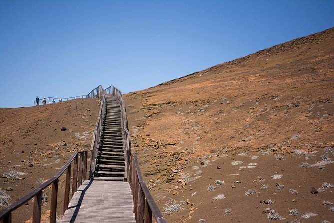 Day Trip to Bartolome Island From Puerto Ayora - Traveler Insights and Tips