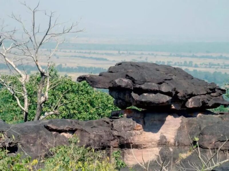 DAY TRIP TO BHIMBETKA FROM BHOPAL - FAQs
