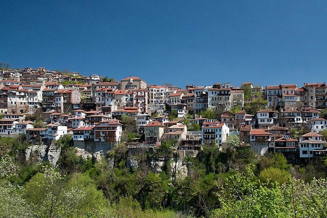 Day Trip to Bulgaria, Veliko Tarnovo-Private Tour From Bucharest - Additional Considerations