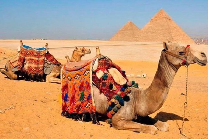Day Trip to Cairo From Hurghada With Domestic Flight Included - Booking Steps and Requirements